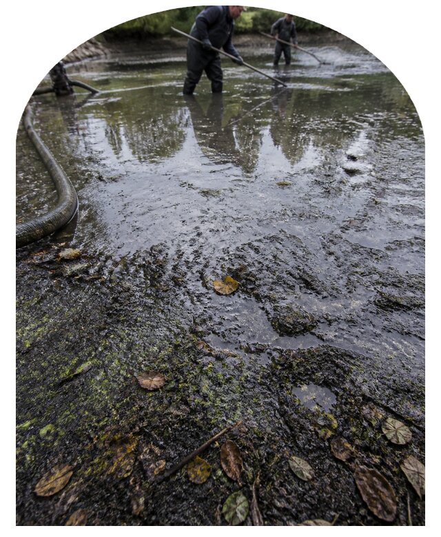 Очистка пруда в Фурманове от ила мусора и водорослей с вывозом